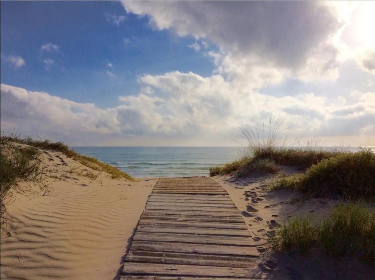 Apartamento Nuevo En La Playa- Met- Oliva Nova Golf Dış mekan fotoğraf